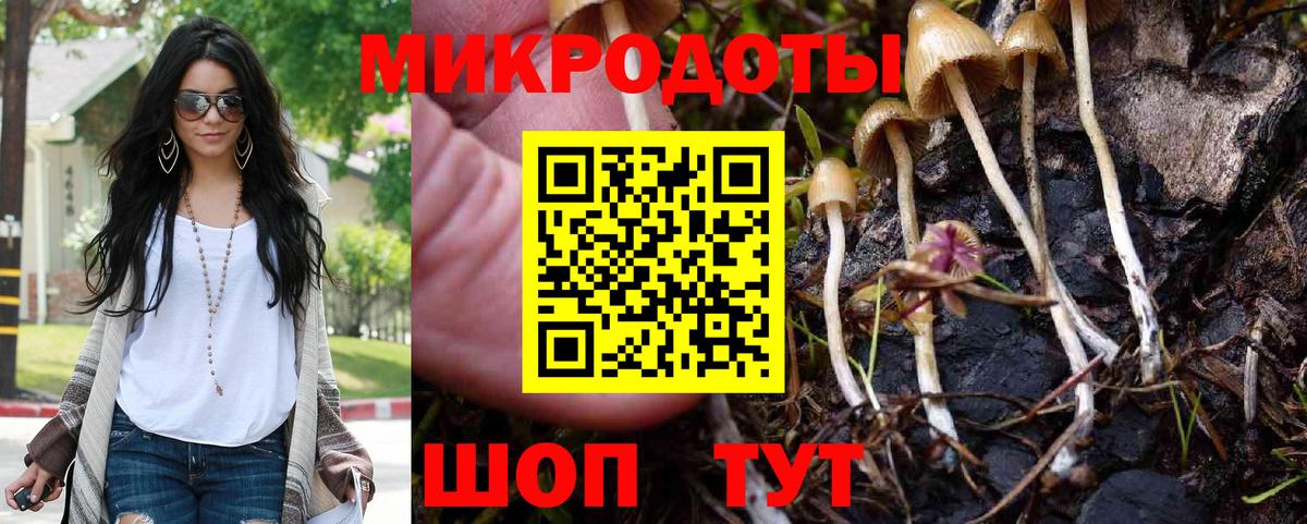 Галлюциногенные грибы Psilocybine cubensis  Вход с VPN  Владикавказ  Галлюциногенные грибы прущие грибы 